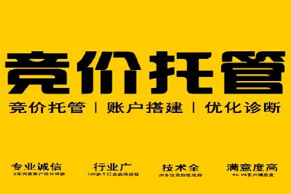 搜索引擎营销托管的创新应用案例